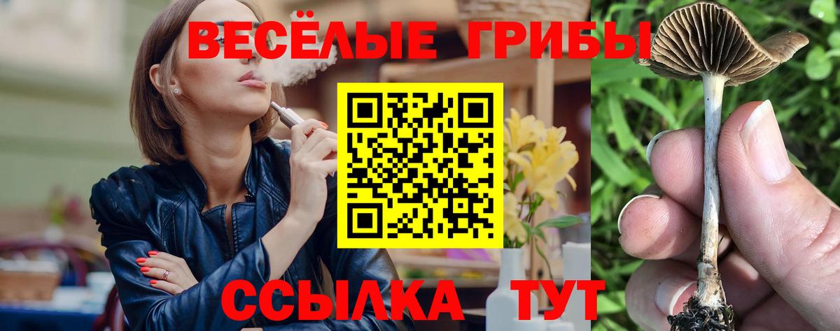 Псилоцибиновые грибы ЛСД Курчалой